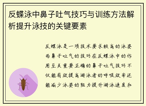 反蝶泳中鼻子吐气技巧与训练方法解析提升泳技的关键要素