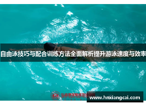 自由泳技巧与配合训练方法全面解析提升游泳速度与效率